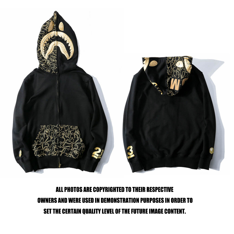 112_110 Bape Hoodie