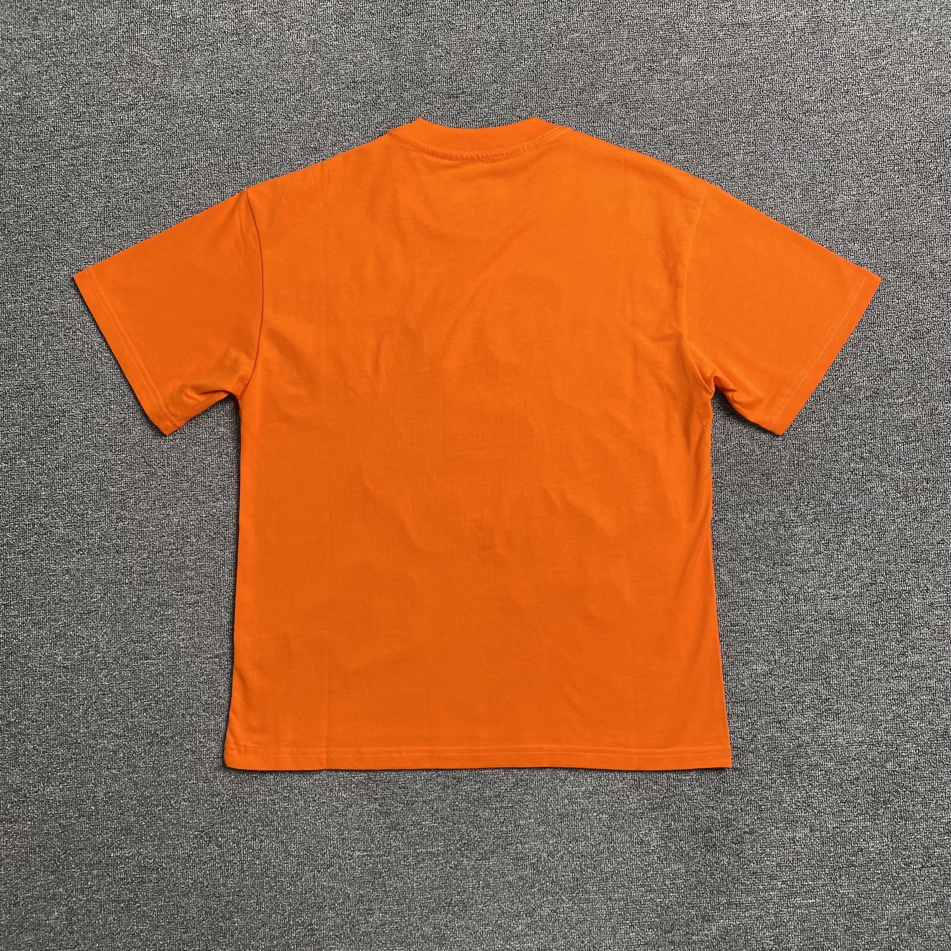 27_107 Spider T-shirt