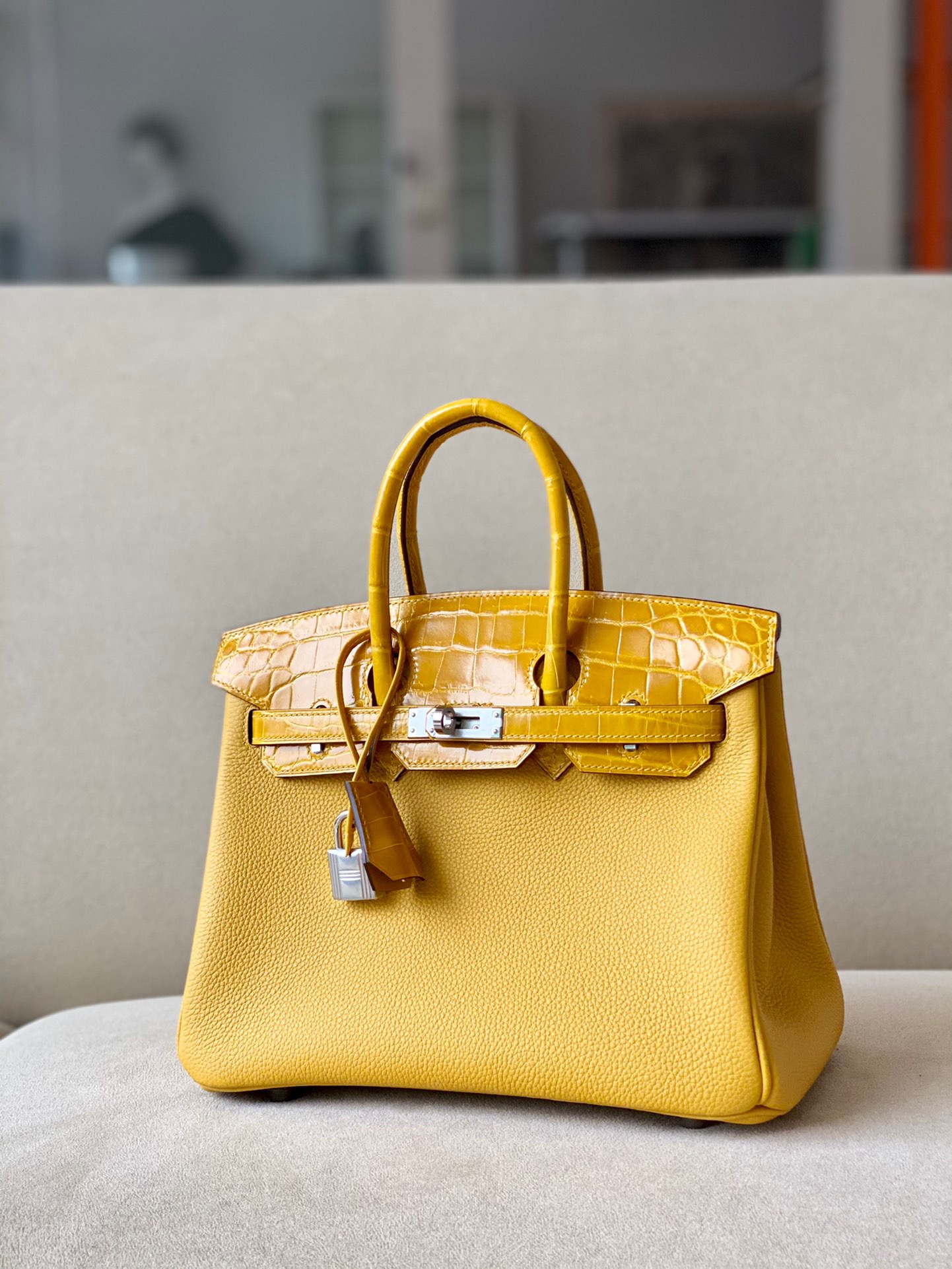 Hermes Advanced customization Birkin 25 crocodile skin