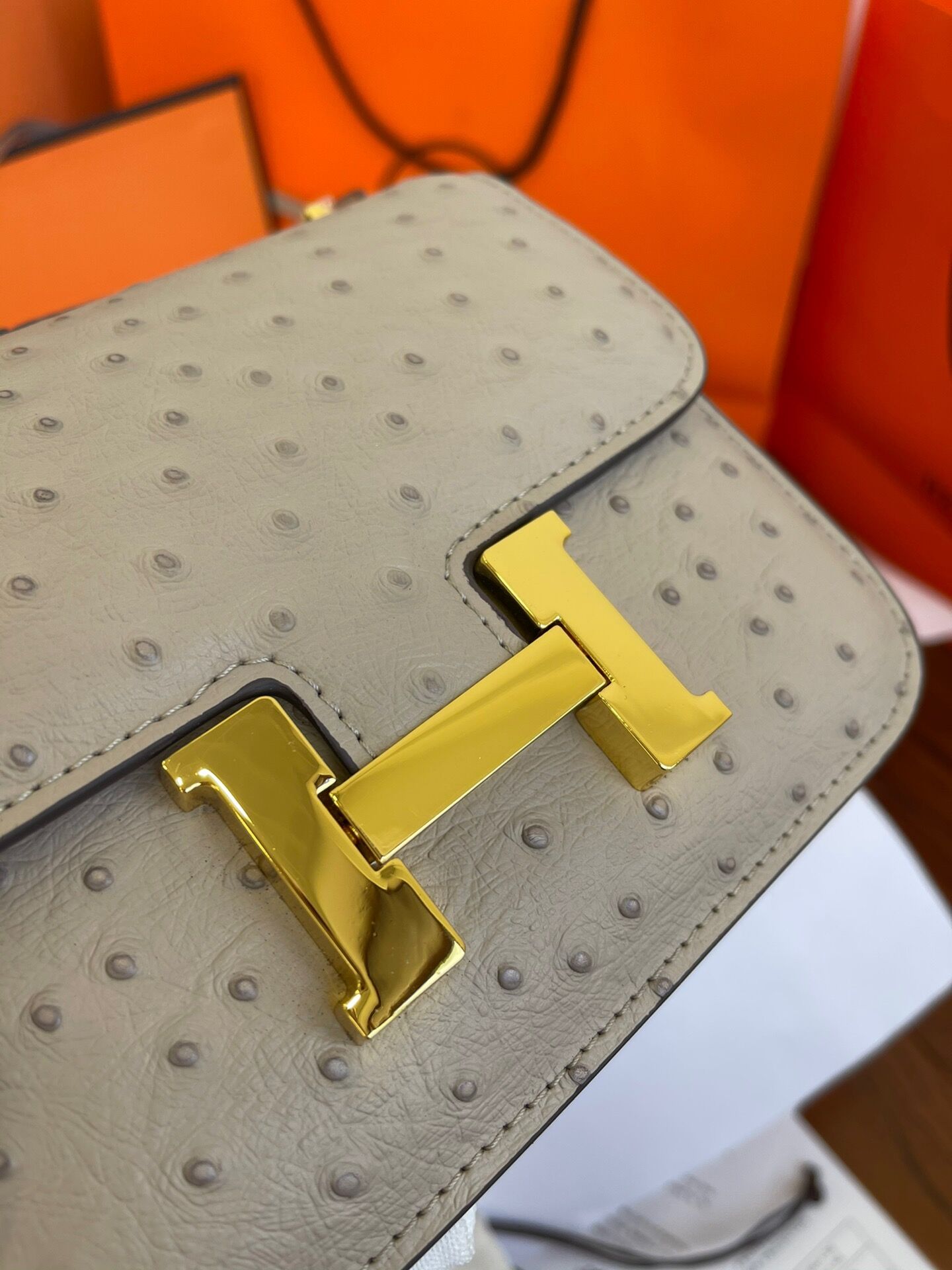 Hermes Constance Mini 19