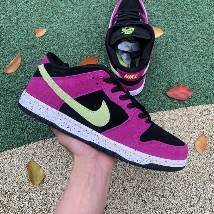 DUNK LOW PRO SB ' ACG TERRA RED PLUM '
