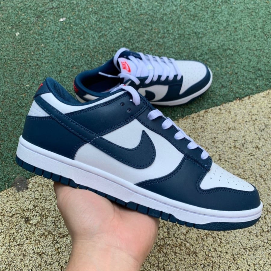 Dunk Low ' Valerian Blue '