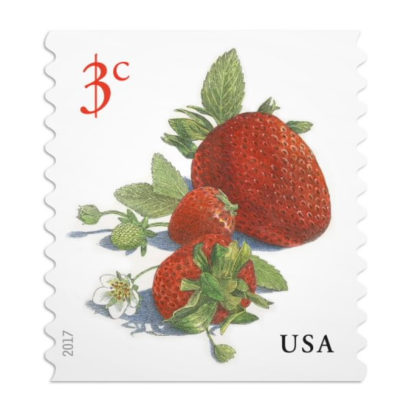 2017 Strawberries