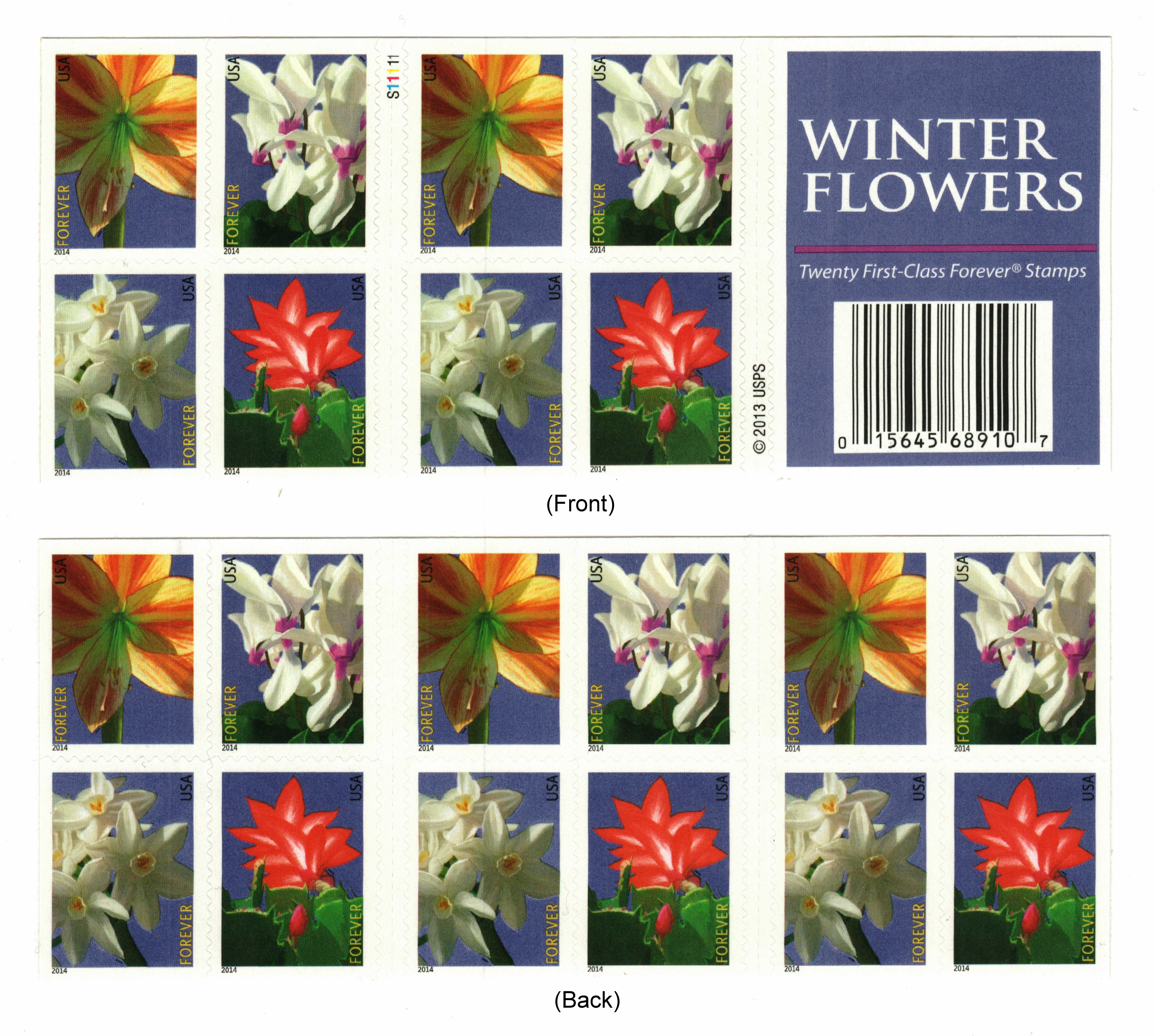 2014 Winter Flowers