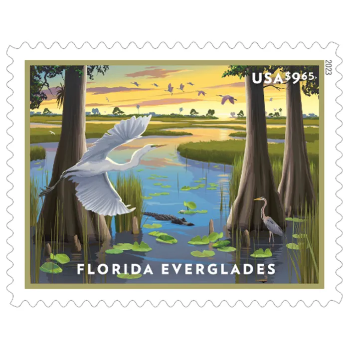 Florida Everglades 2023