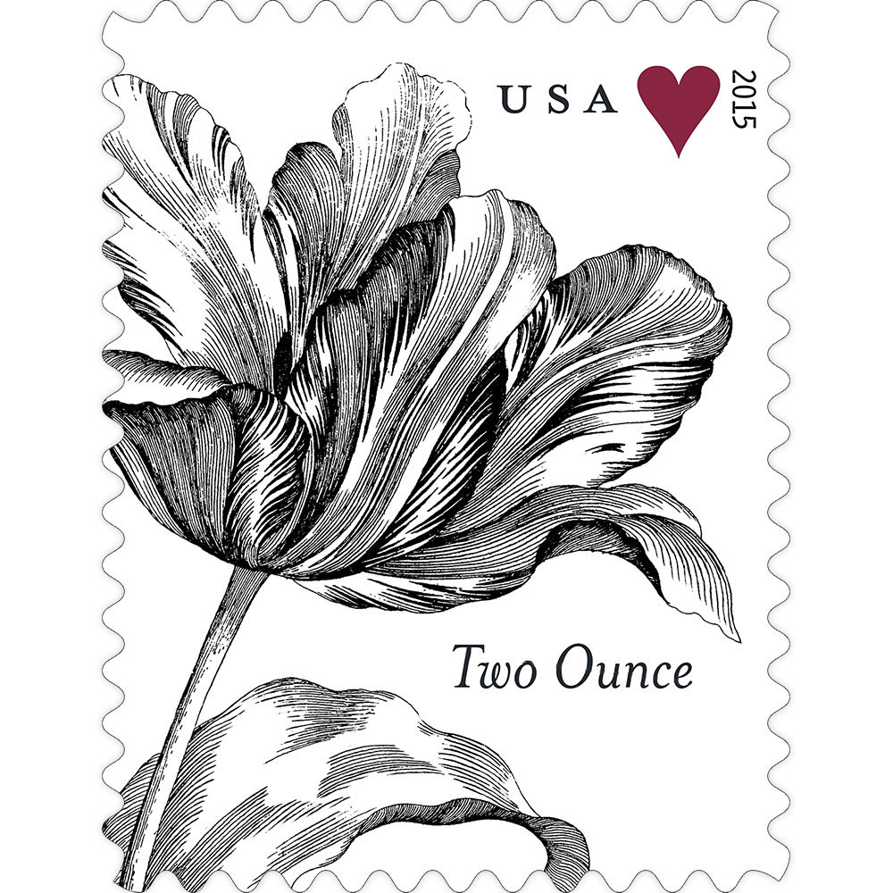 2015 Vintage Tulip