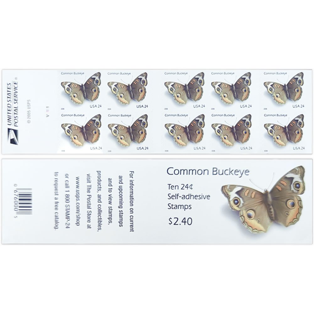 Grey Butterfly 2005