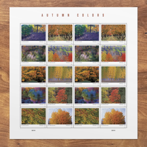 Autumn Colors Stamps 2024