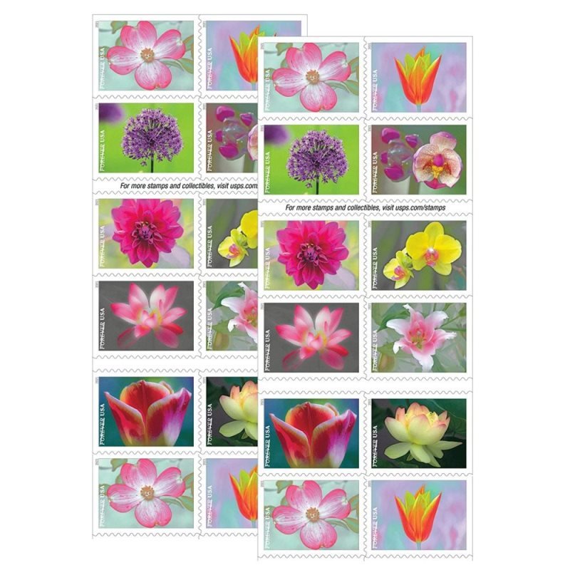 2021 Garden Beauty