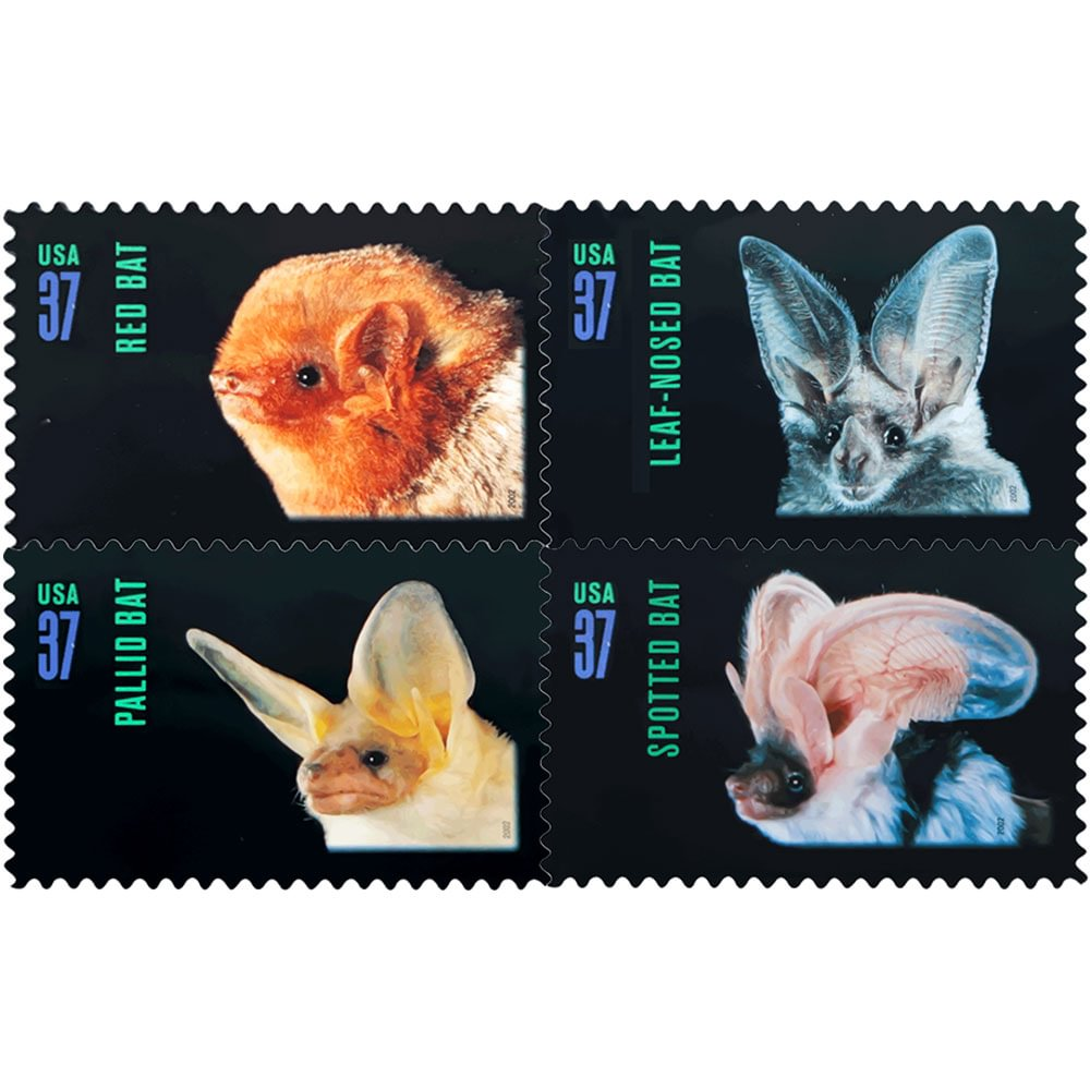 Night Friends American Bats 2002