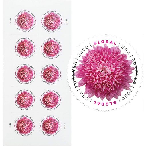 2020 Global: Chrysanthemum
