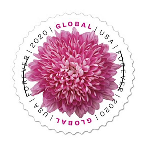 2020 Global: Chrysanthemum