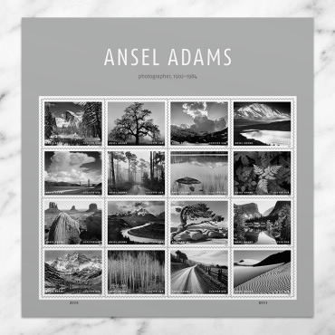 Ansel Adams 2024