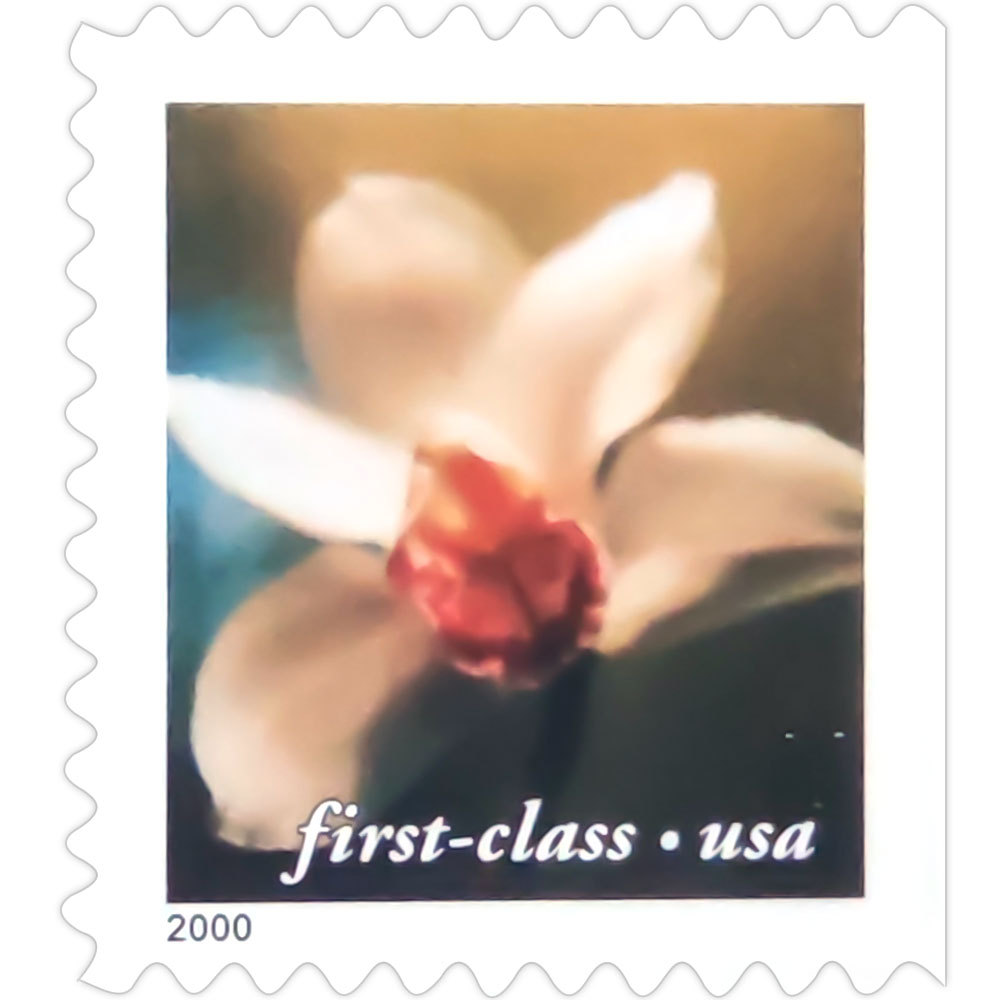 4 Flowers 2000
