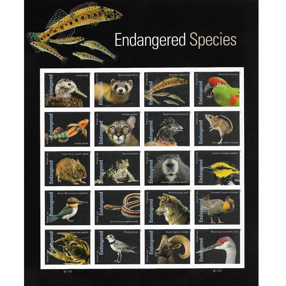 Endangered Species 2023
