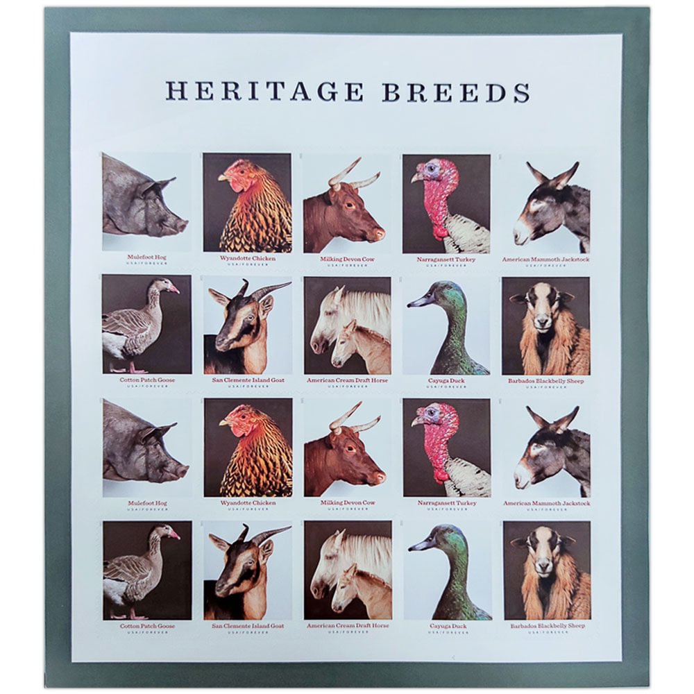 Heritage Breeds 2021