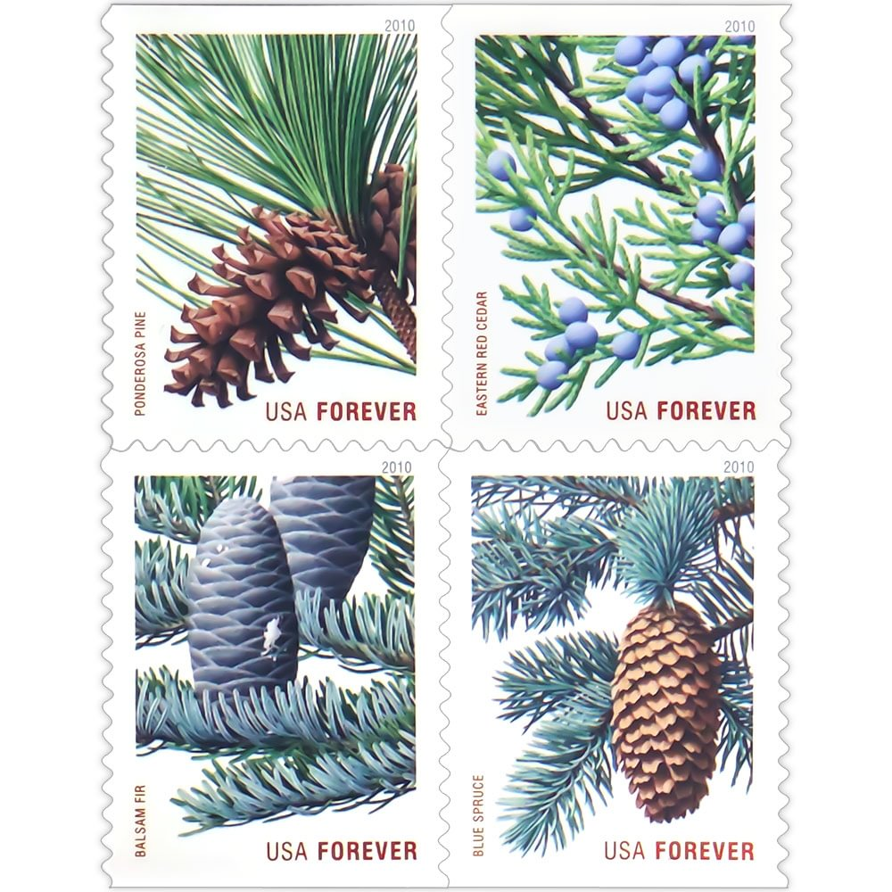 2010 Holiday Evergreens