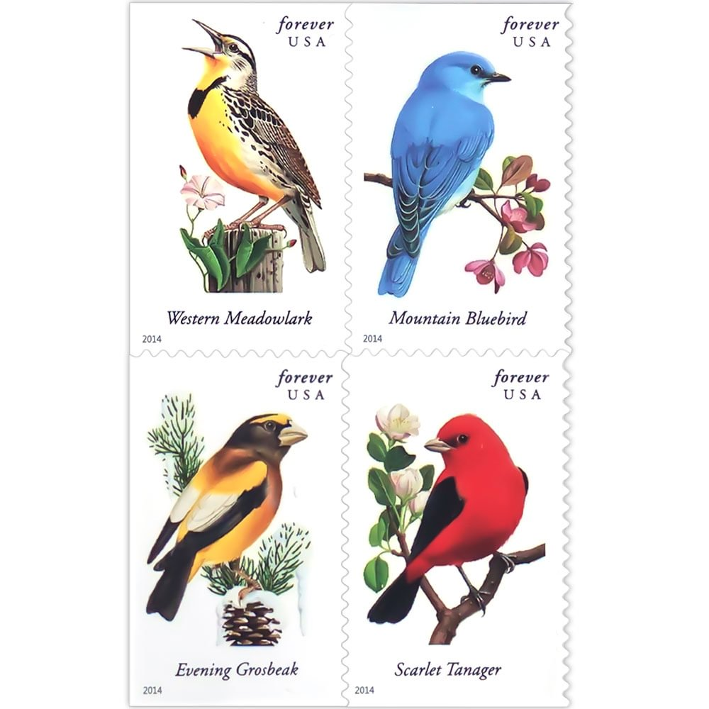 2014 Songbirds
