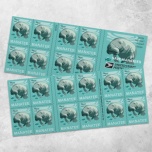 Save Manatees 2024