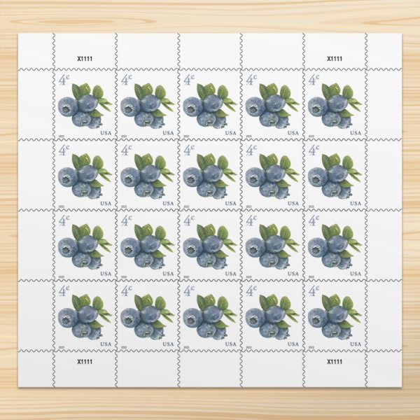 2022 Blueberries