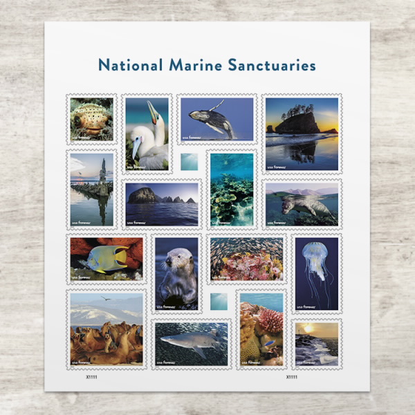 Forever Stamps First Class Postage Stamps National Marine Sanctuaries Stamps  2022