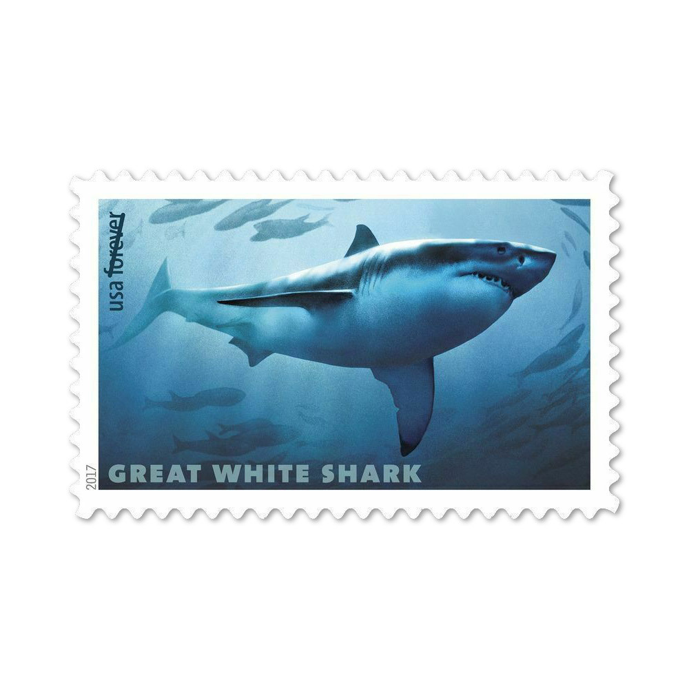 2017 Forever Stamps First Class Postage Stamps Sharks