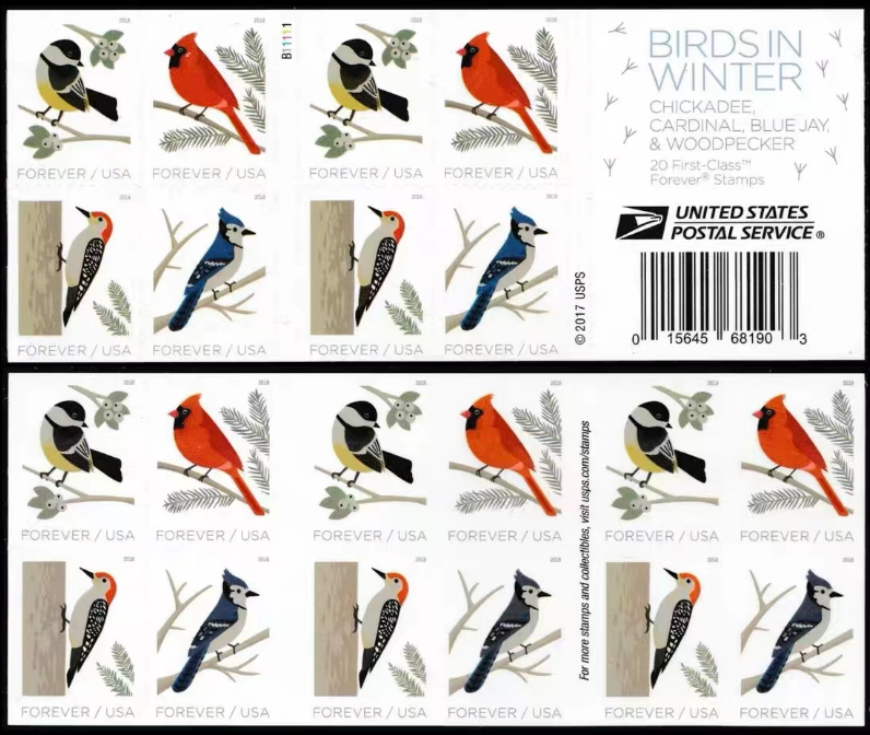 Birds of Winter 2018