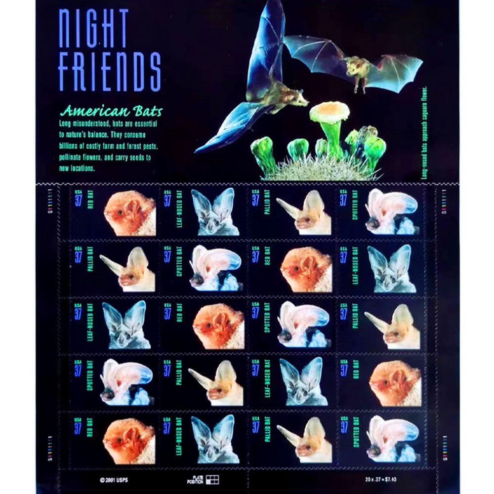 Night Friends American Bats 2002