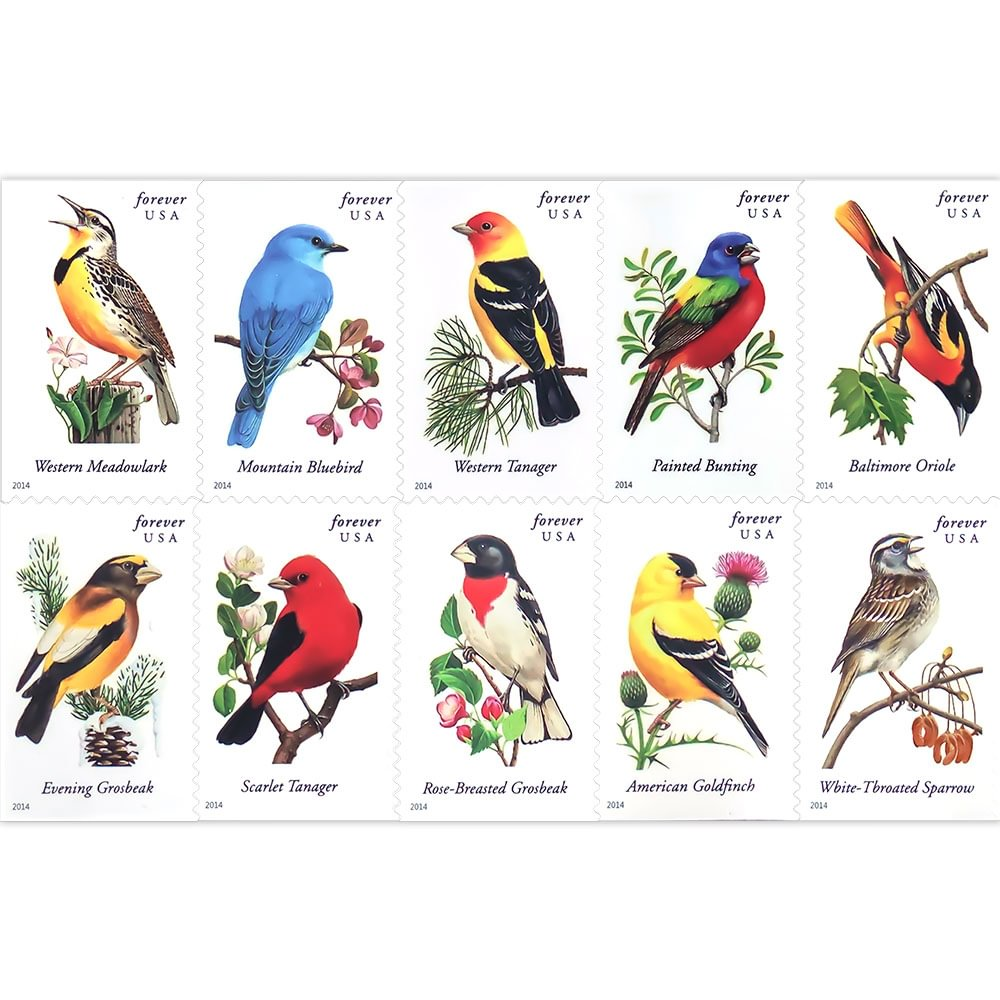 2014 Songbirds
