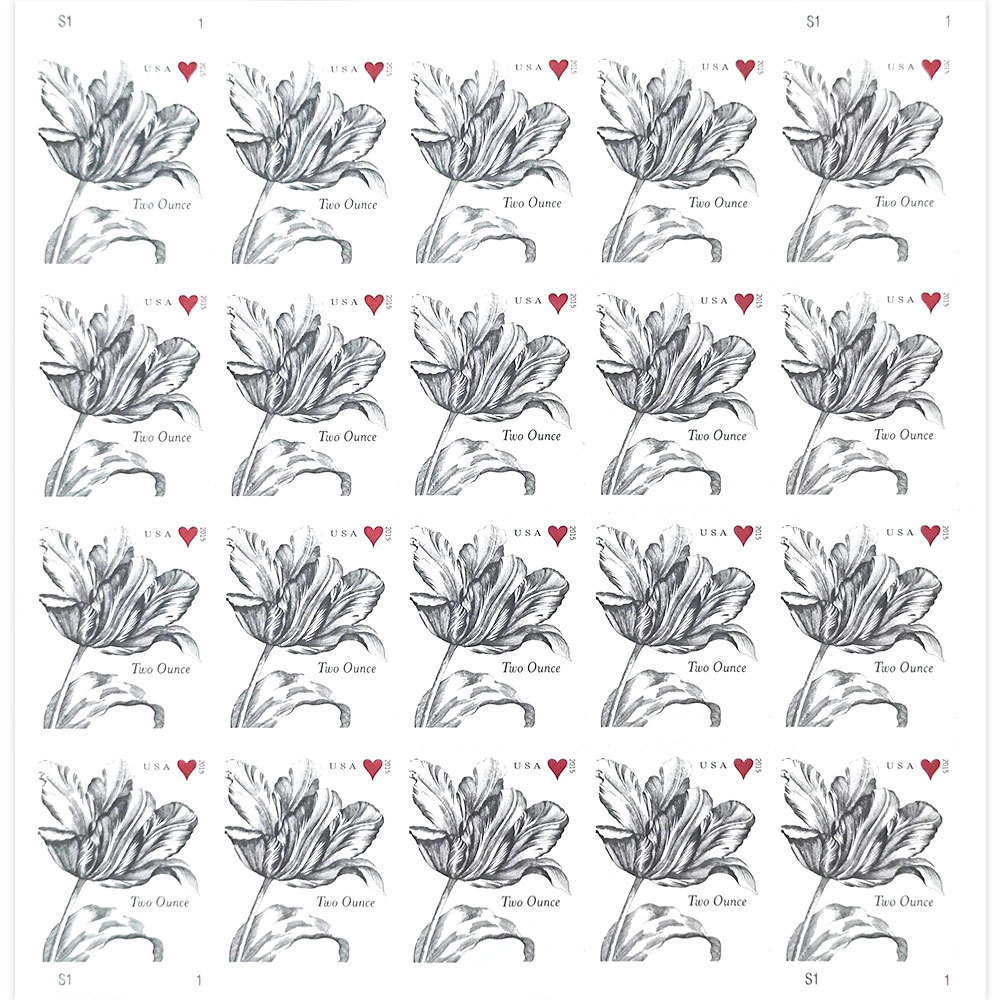 2015 Vintage Tulip
