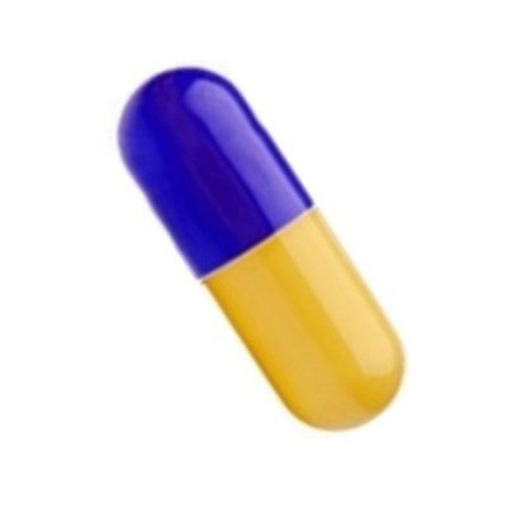 Capsula 00 Gialla/Blu 5000 Pezzi