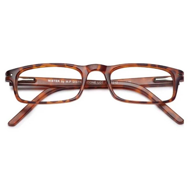 TWINS OPTICAL SILVER MISTER MARRONE +1.00 MAST