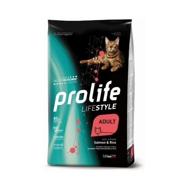Life Style Adult Salmon & Rice - 1,50KG