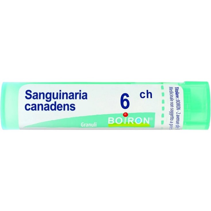 Sanguinaria Canadensis 6CH Boiron Granuli 4g