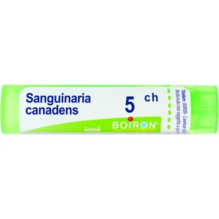 Sanguinaria Canadensis 5CH Boiron Granuli 4g