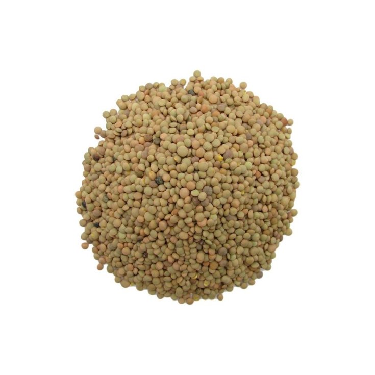 Lenticchie Secche Farmagourmet 500g