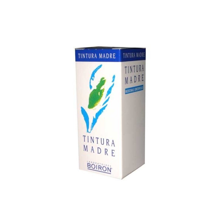 Cemon-Boiron Ginkgo Biloba Tintura Madre 30ml