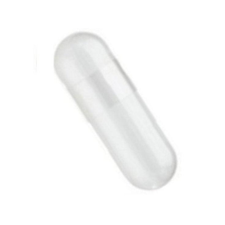 Capsula 0 Vegetale Trasparente 1000 Pezzi