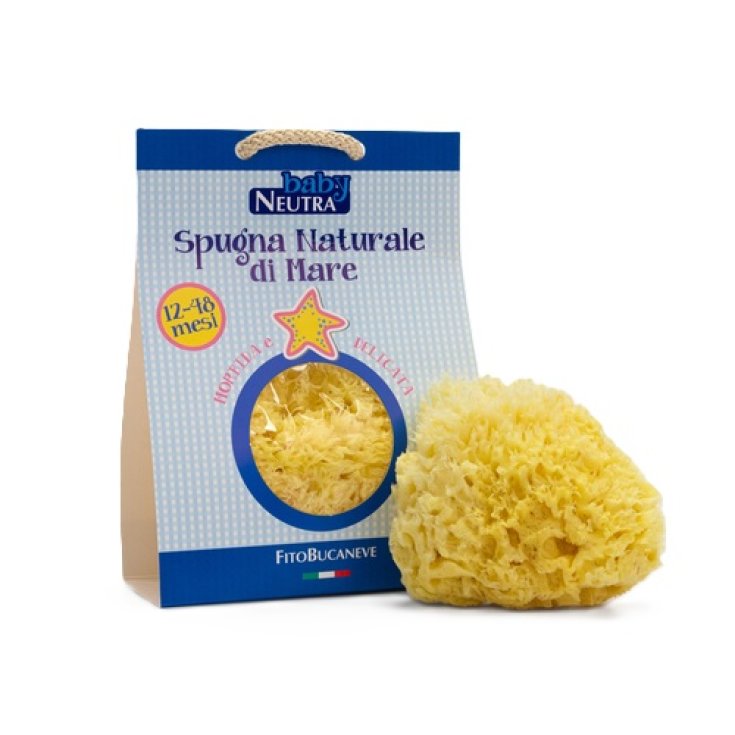 Spugna Naturale di Mare 12-48 M Baby Neutra