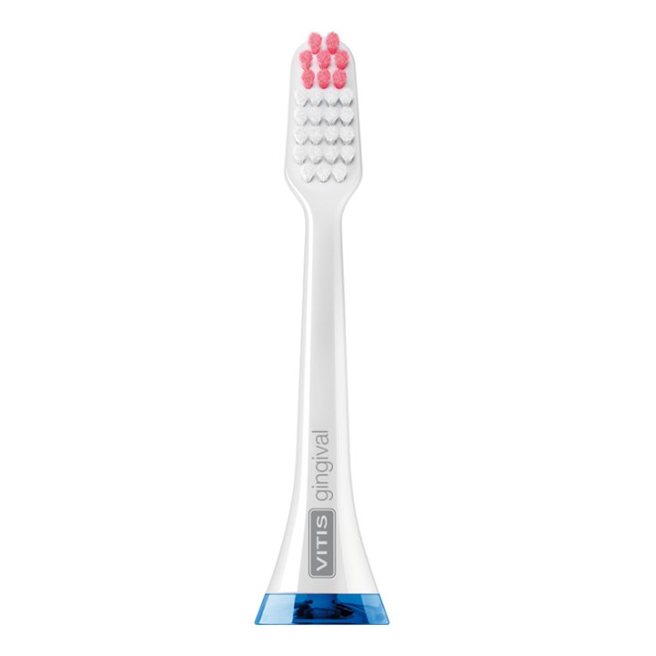 Vitis® Sonic Testine Gingival 2 Pezzi