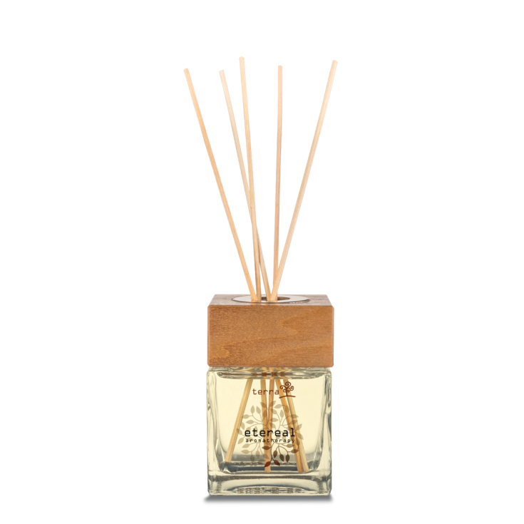 Terra Profumatore per Ambiente con Bastoncini Etereal 100ml