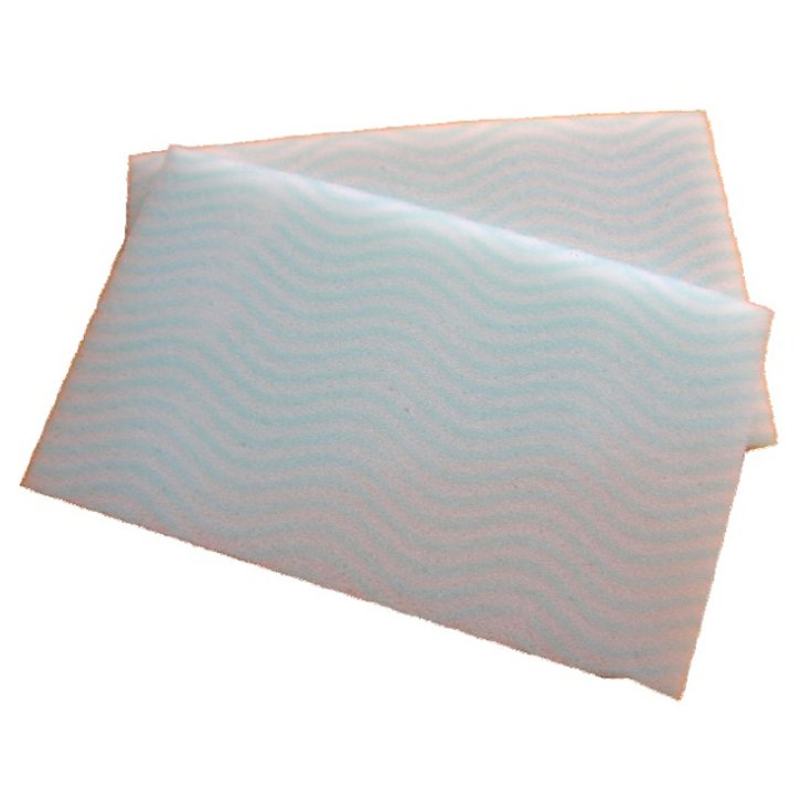 Spugna Presaponata 12x20x1