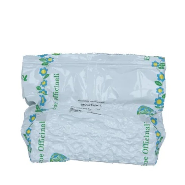 Tè Verde Cinese Specchiasol 1Kg