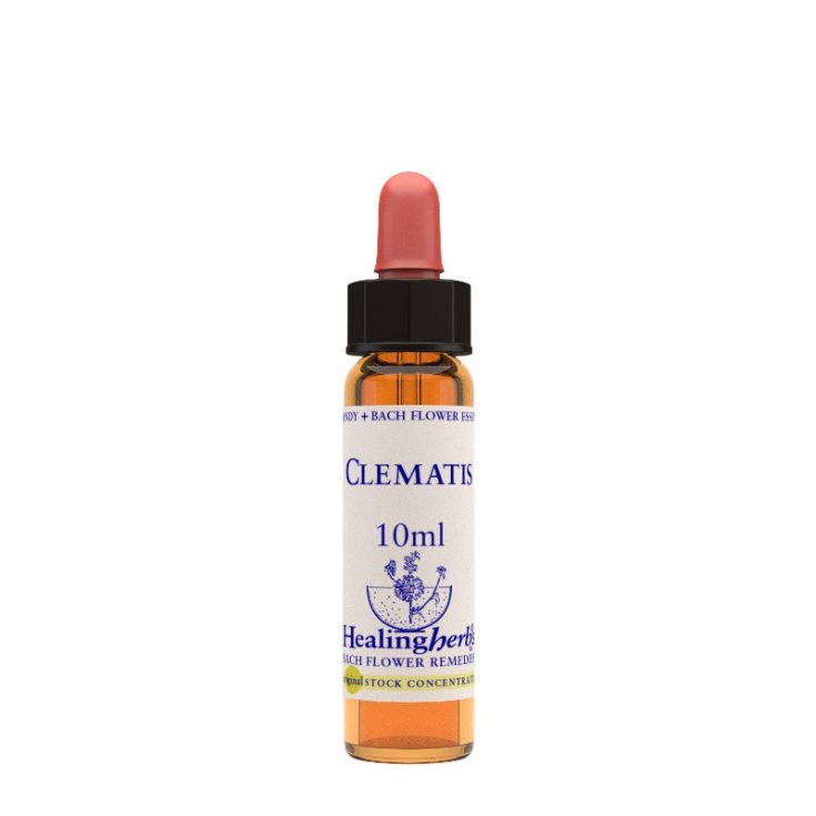 Clematis Bach Flower Remedies Healing Herbs 10ml