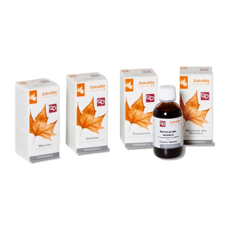 Selerbe Ginseng Estratto Fluido 1kg