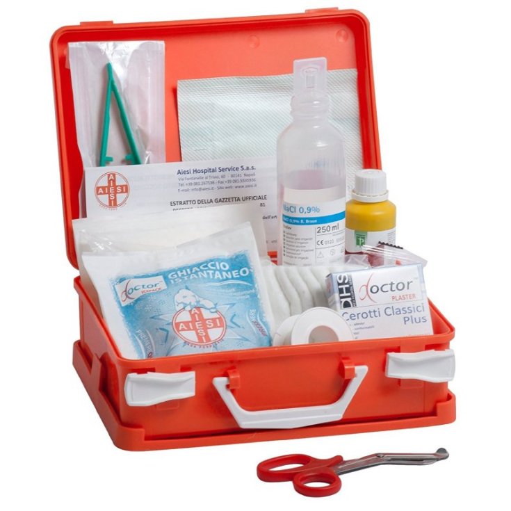 Cassetta Pronto Soccorso Grande Farvisan