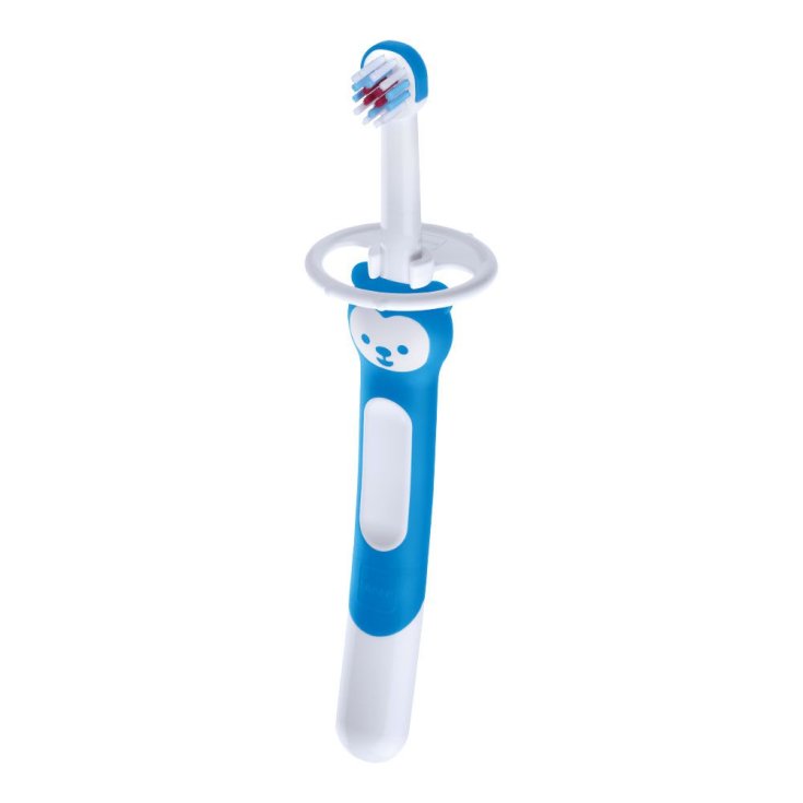 Training Brush Mam 1 Pezzo