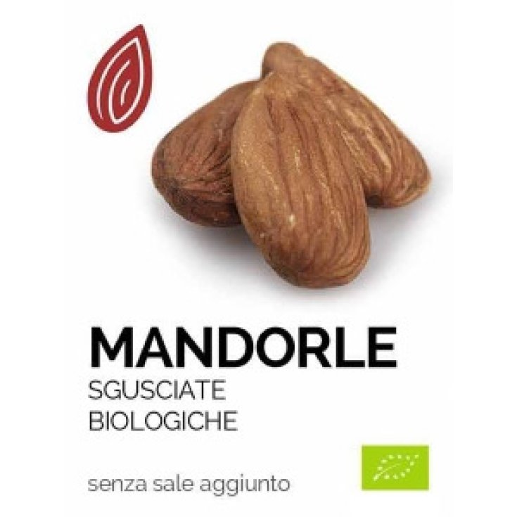 Mandorle Biologiche Sgusciate Euro Company 100g