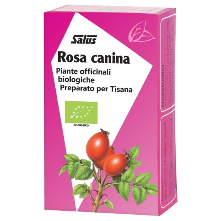 Salus Rosa Canina Tisana Biologico 15 Filtri