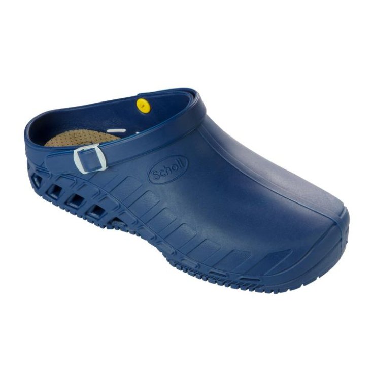 Clog Evo Unisex Scholl Blu 35-36